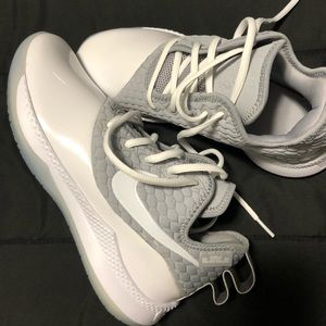 Brand new Lebron Witness shoes